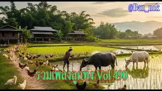 Compilation of Thai Country Songs Vol. 490