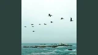 Quiet Breeze