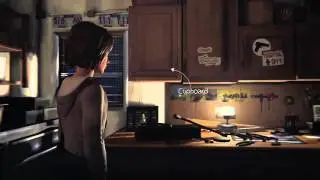Time Travel Effect: Life is Strange