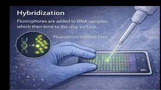 DNA KITs, what happens After you mail your test in?