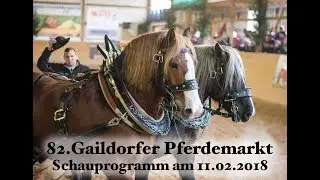 Schauprogramm Gaildorfer Pferdemarkt 2018