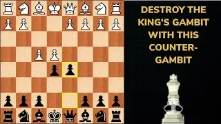 Destroy the King&rsquo;s Gambit with the Falkbeer Counter-Gambit (part 9) Beat the main line with Bc4