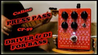 Caline CP-59 Press Pass Driver & DI for Bass
