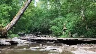 Cincinnati Parks | French Park | Creek Trail