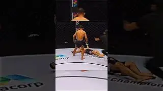 waw TKO.#mma #shorts #ufc #conormcgregor #kickboxing #fight