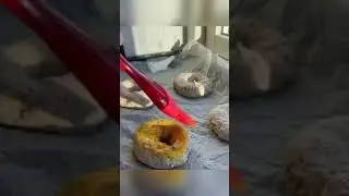 The buns are delicious