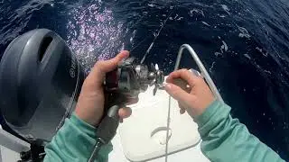 Jigging & Bottom Bashing Reef Fishing Cairns