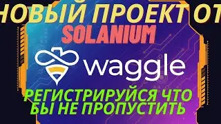 Solanium l Новый проект Waggle Network l Ждём иксы .