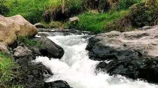 Calm Fresh River &ndash; For Alertness, Peace of Mind & Deep Sleep