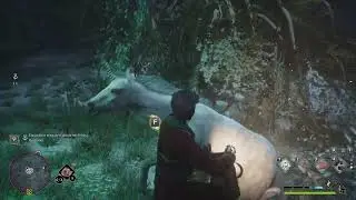 #109 Hogwarts Legacy - O Unicórnio Único / The Unique Unicorn