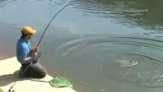 FLY Fishing - Carpa no Fly no Clube Pesca e Cia