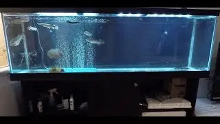 125 Gallon //PREDATOR TANK// Setup!