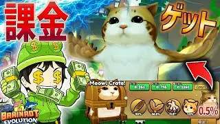 【強すぎるっｗ】入手確率0.5％の超最強課金キャラ『ミャウル』をゲット！クリティカルで攻撃範囲が2倍になる激ヤバ能力がチートすぎる！【ブレインロットの進化/Brainrot-Evolution】