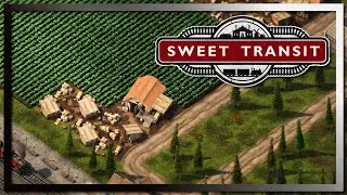 #3 Kartoffel und Steine | Sweet Transit