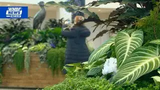 Brookgreen Gardens opens Purdy Center with art and botanical exhibits