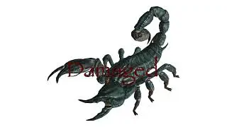 Fallout 3: All Radscorpion Vox And Sounds