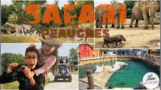 Le Safari de Peaugres | La Team Aventure