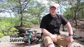 The 5cs of survival