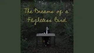 There's Work To Dodo