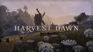 80 Min of Jeremy Soule's 'Harvest Dawn' (TES IV: Oblivion) with ESO Ambience | Night to Sunrise