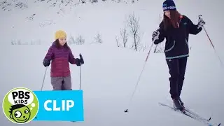 Cross-country Skiing | Molly of Denali