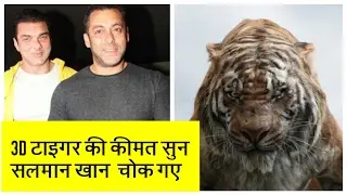 Salmaan khan and sohil khan watch jungle book tiger 2017.
