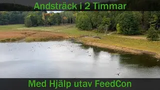 Andsträck - Hur Martin använder FeedCon