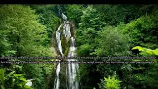 Tareq Mohammad Surah Muhammad ❤️Beautiful Recitation  سورة محم