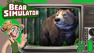 Ducks! - Bear Simulator - 1