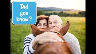 Strange Yet Normal Facts About a Horse&rsquo;s Behavior