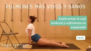 Expandir la caja torácica en arcos hacia atrás. Pulmones sanos.  Yoga Iyengar todos los niveles