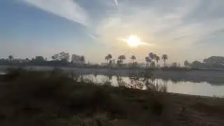 Saw Partridge Bird teetar while cycling 