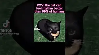 POV: the cat can feel rhythm better than 99% of humans #therealdeagle #povshort #catsbelike #vibing