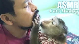 Gentle Dr. Bela Hand Up Grooming Beard For Human WOW Mental State