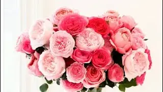 The most unique flowers 💐