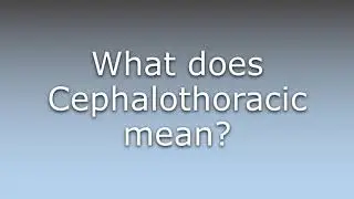 What does Cephalothoracic mean?
