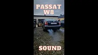 VW Passat b5 w8 sound muffler delete