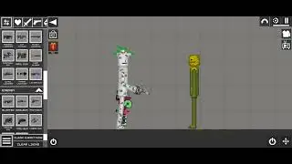 Minha evolução