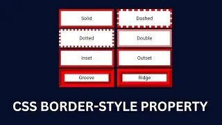 CSS border-style property and nth-child property #css #html #borderstyle #nthchild