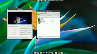 MSN Chat w/ Webcam - Emesene 1.5 - Linux Mint 7