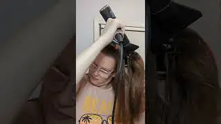 Travelista Dryer
