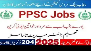 Assistant Director Pessi Jobs 2025 l Account Officer Jobs l Assistant Director GIS l Assistant BS-16
