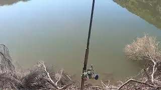 Forgot my rod holder. Mittry Lake.