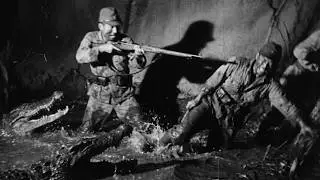 The Night 980 Men Vanished: The Event History Deleted | WW2 Stories