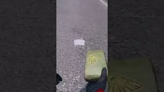 A Perfect DayZ Ambush😳