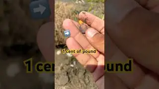 I Found a Rare 1 Cent Pound Coin | Hidden Treasure Discovery