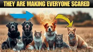 How Animals Are Telling Us About the Future: Spiritual Prophecies