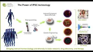 Webinar: Rapid and Reliable Neurotoxicity Detection
