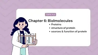 Topic 6.3 | Protein | Chapter 6 | Biomolecules