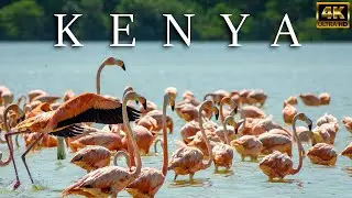 FLYING OVER KENYA 4K UHD   Relaxing Music Along With Beautiful Nature Videos 4K Video Ultra HD